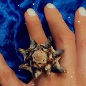 Natural sea shell ring size 7